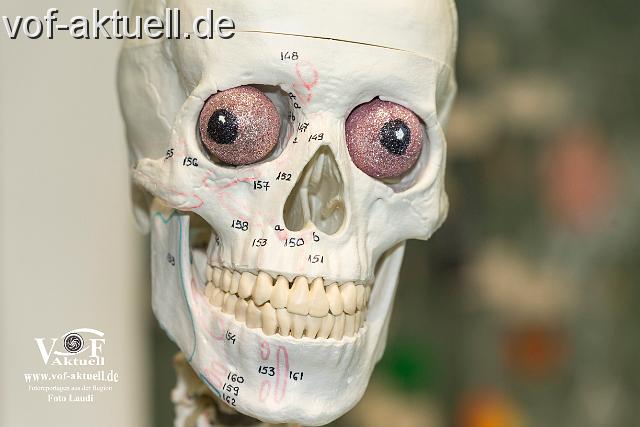 Foto Laudi_Ergo_VOF-129.jpg